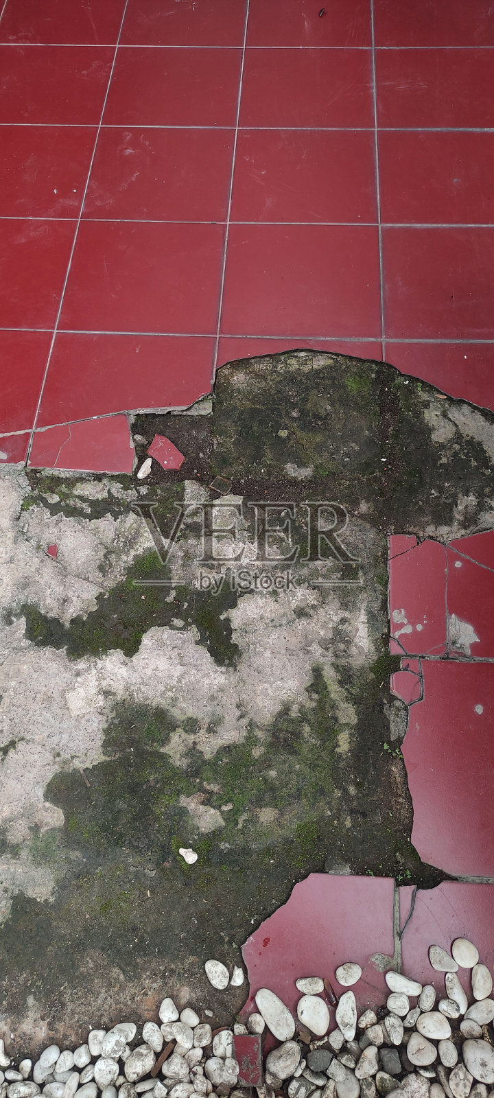 莫斯照片摄影图片