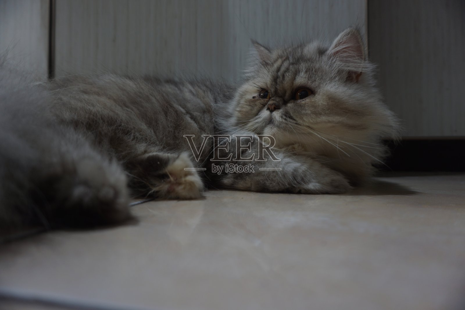 备用照片摄影图片