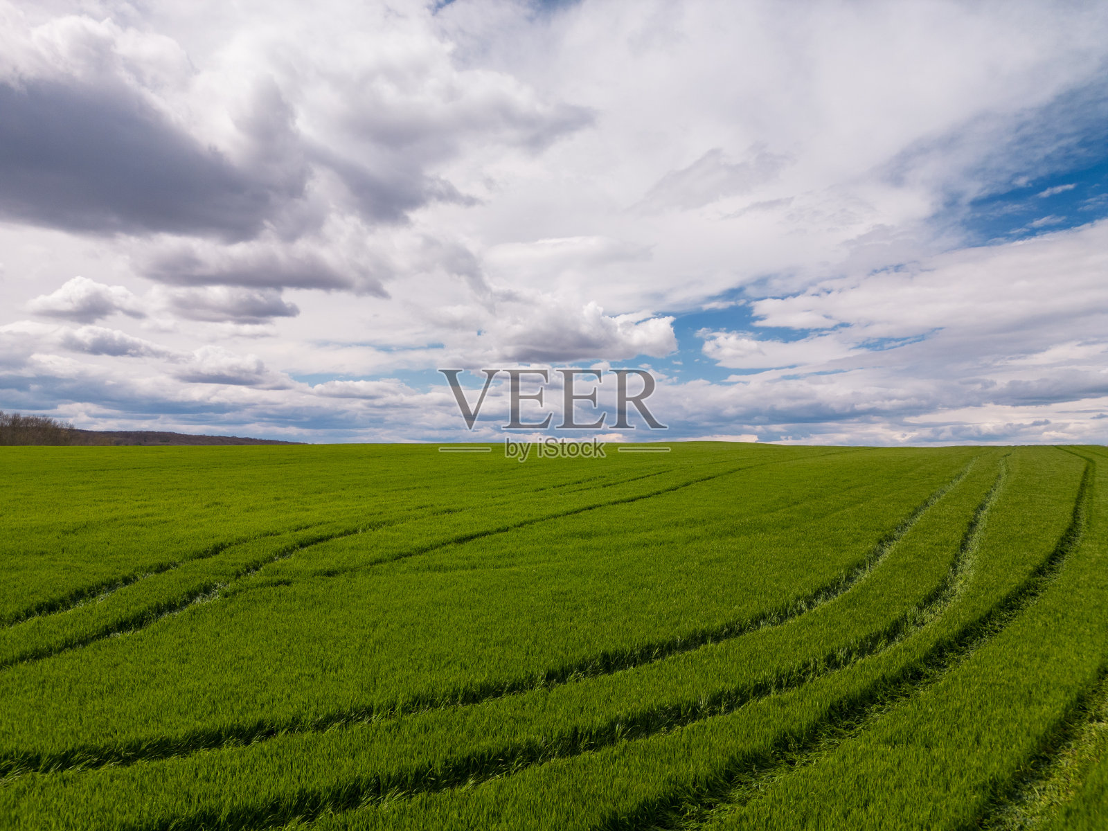 绿色的田野和蓝天白云构成了宁静清新的自然景观，象征着成长、和平和无限。照片摄影图片