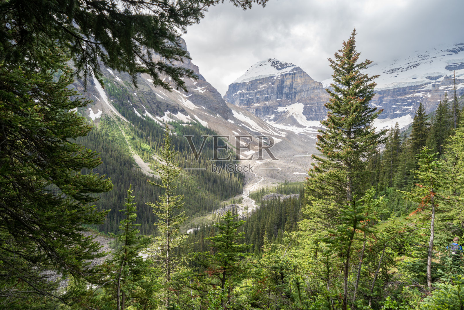 加拿大落基山脉班夫国家公园的6条冰川平原小径上的风景照片摄影图片