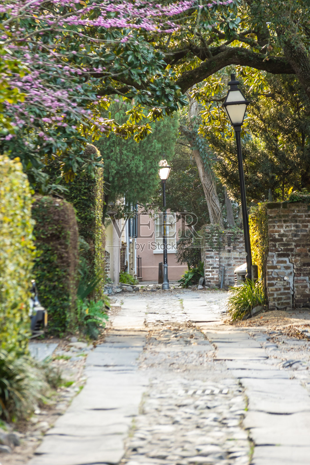 查尔斯顿市的一条老巷子，有一条鹅卵石街道照片摄影图片