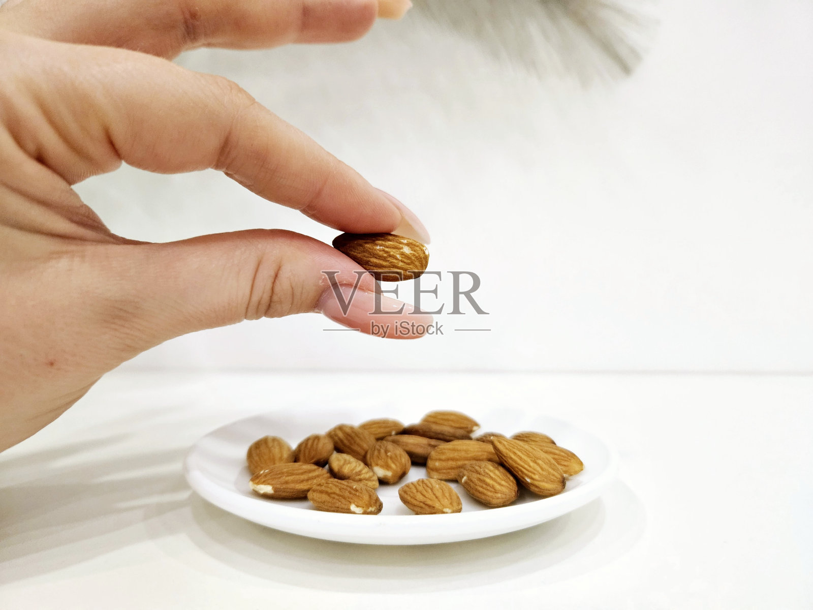 杏仁照片摄影图片