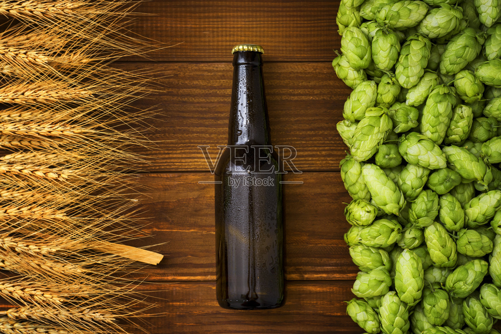 一瓶啤酒，以绿色啤酒花和麦穗为背景照片摄影图片