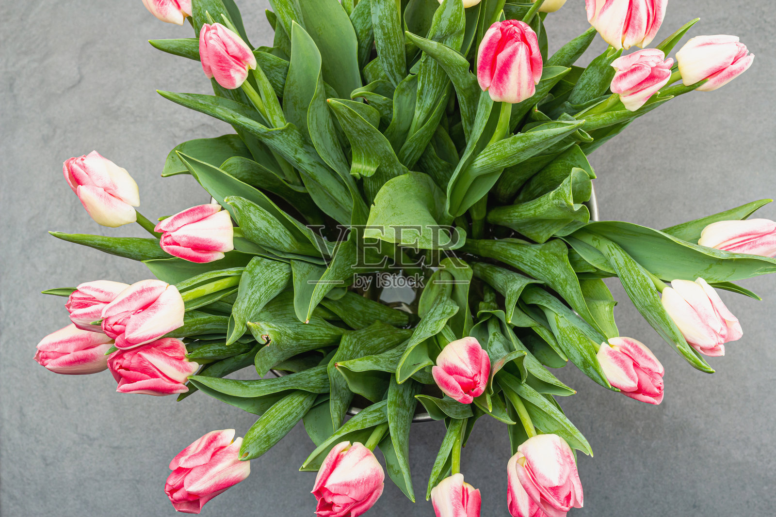 花环从新鲜的郁金香在粉红色的背景。母亲节或情人节的节日概念照片摄影图片