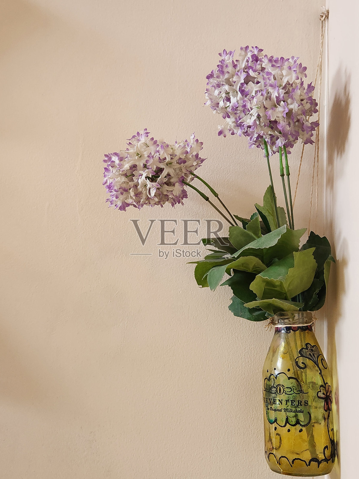 种在角落里照片摄影图片