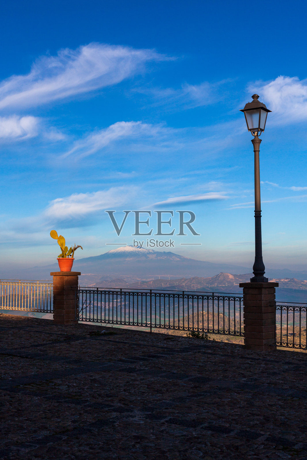 一盆仙人球和埃特纳火山，艾多内照片摄影图片