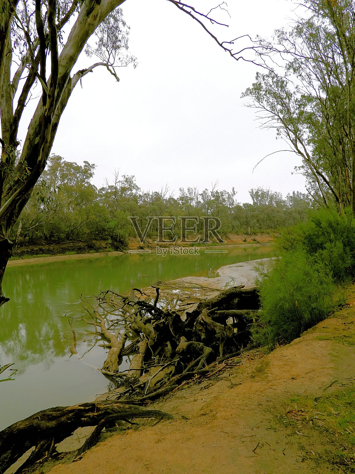 澳大利亚维多利亚州下莫伊拉照片摄影图片