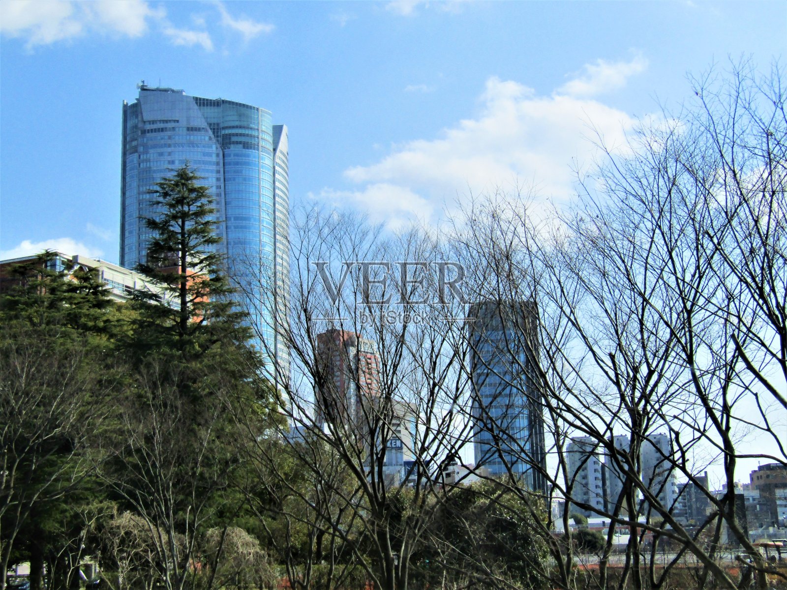 日本。4月。东京的春天。照片摄影图片