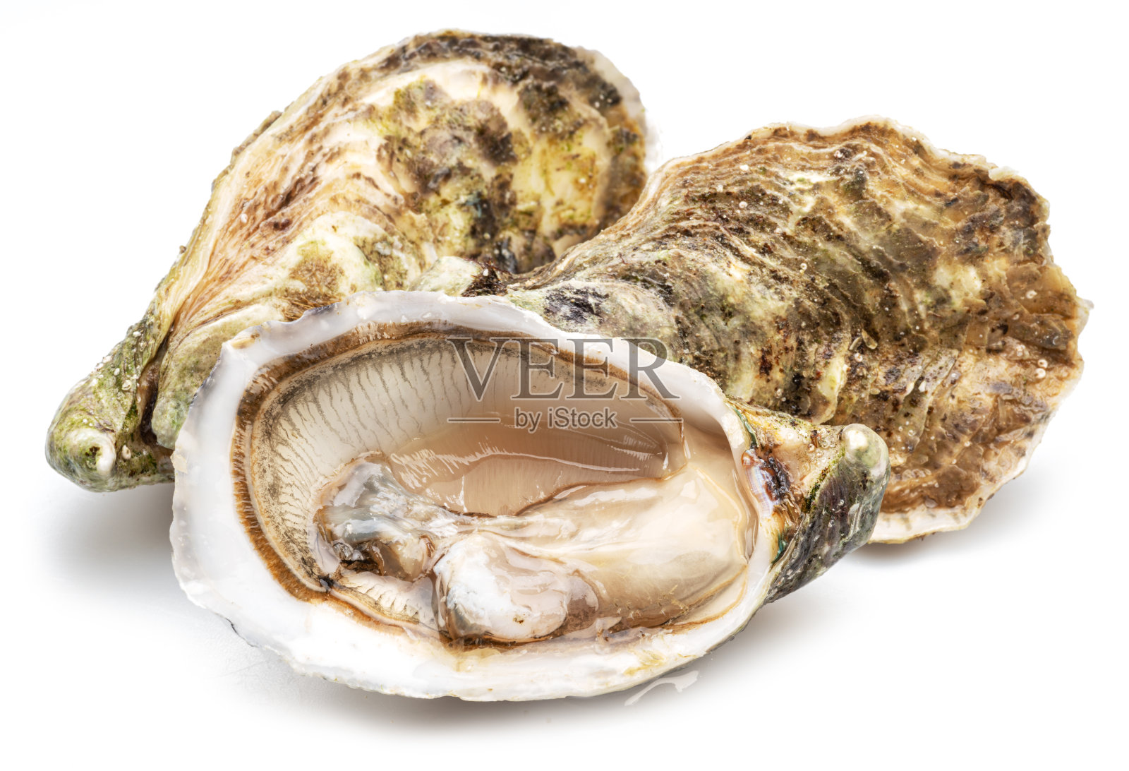 在白色背景上打开和关闭生蚝。美味的食物。照片摄影图片