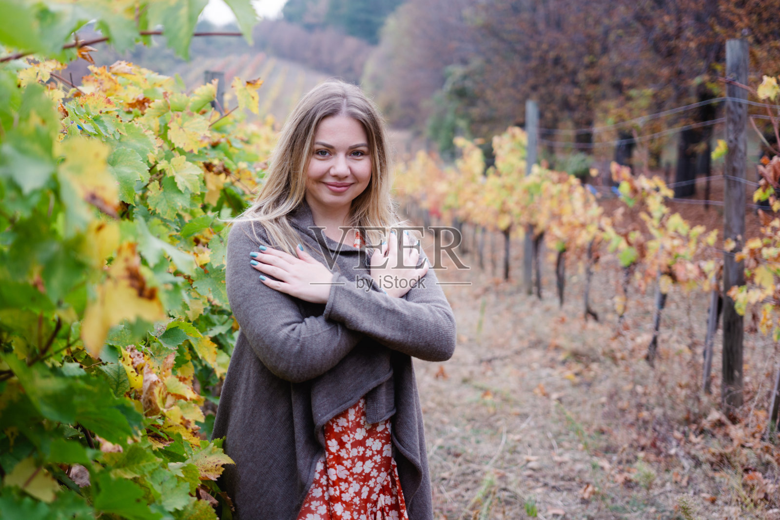 年轻女子站在葡萄园的肖像在秋天的一天照片摄影图片