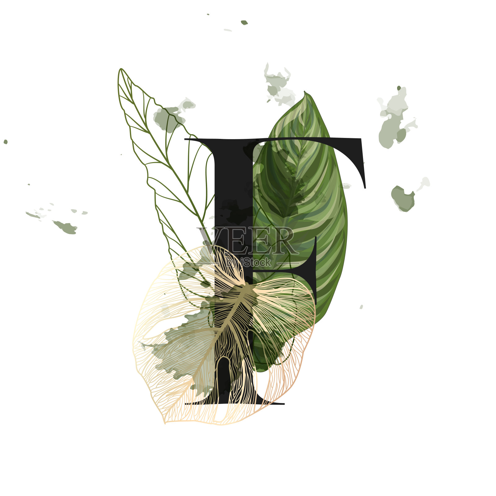 热带花卉字母表。带有植物花束的信。婚礼请柬，贺卡，生日，标志，海报等等。矢量插图。插画图片素材