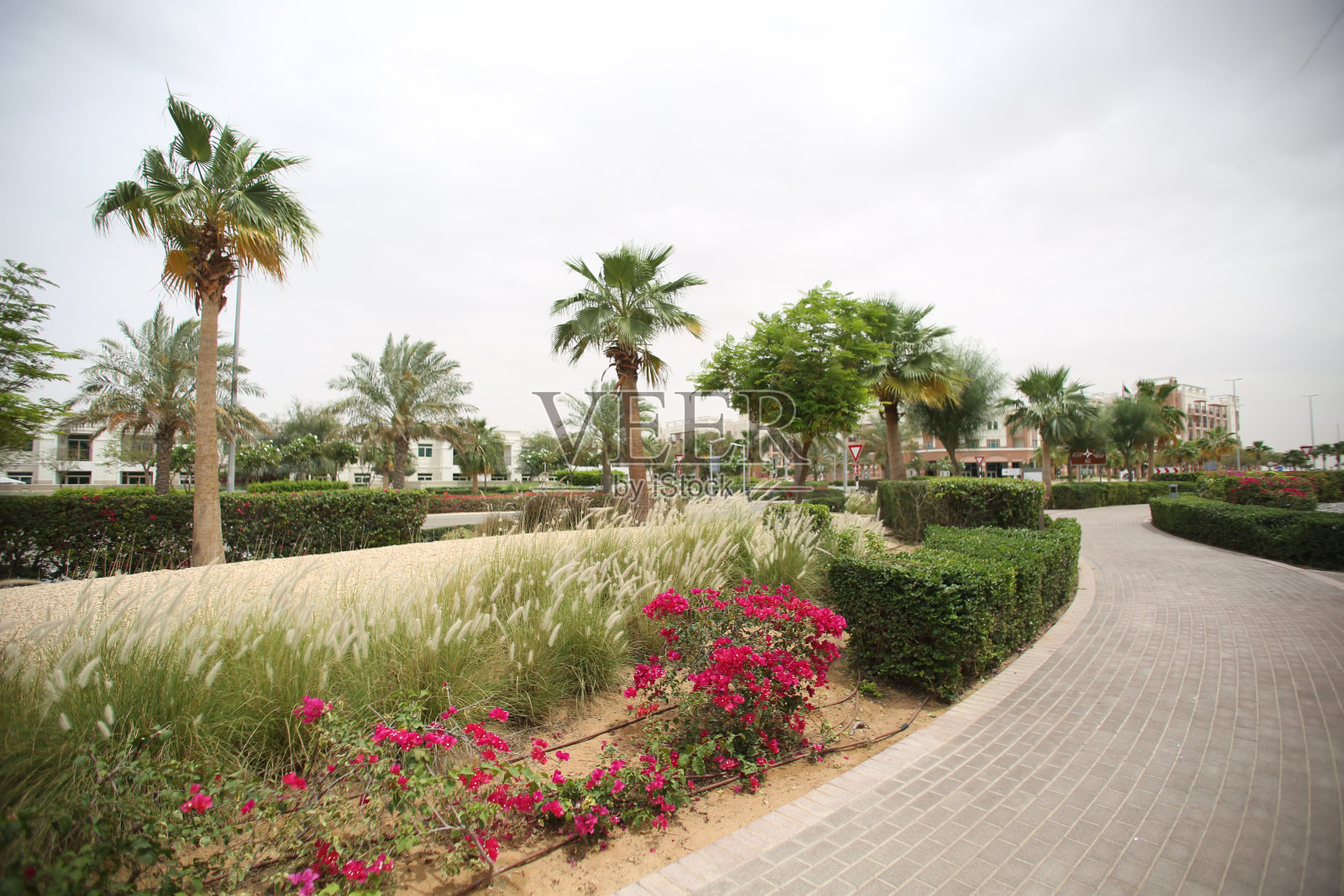 加迪尔照片摄影图片