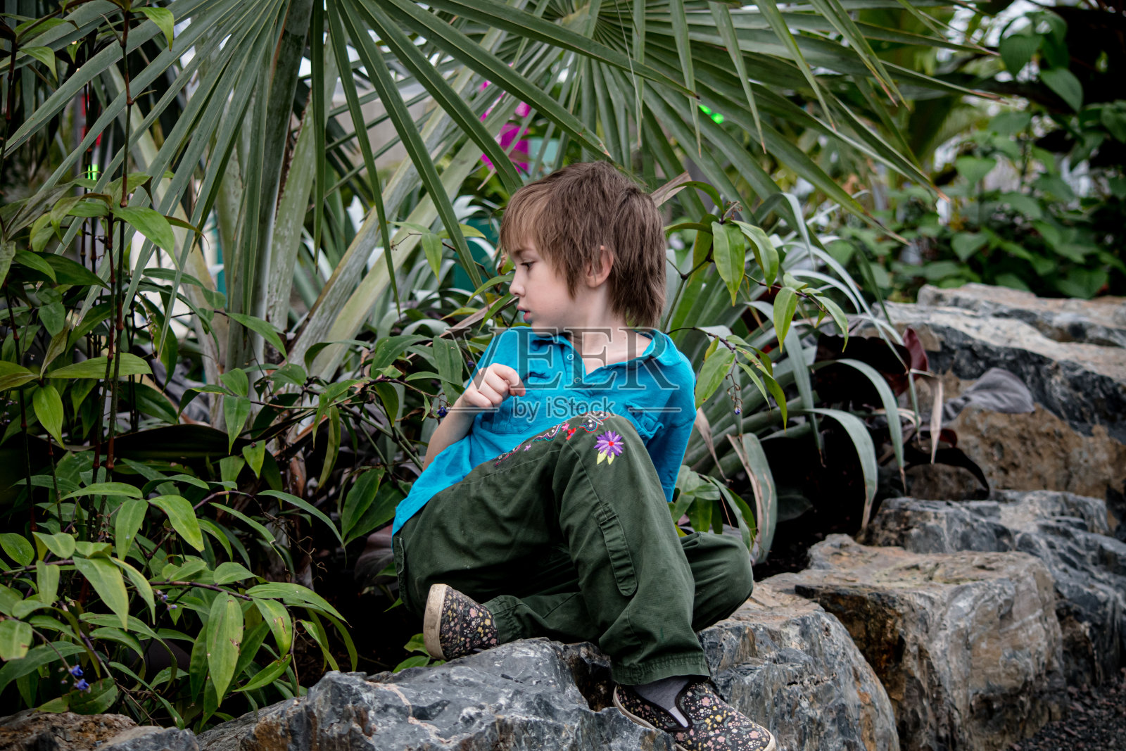 这个9岁的男孩敬畏地环顾着美丽的自然花园照片摄影图片