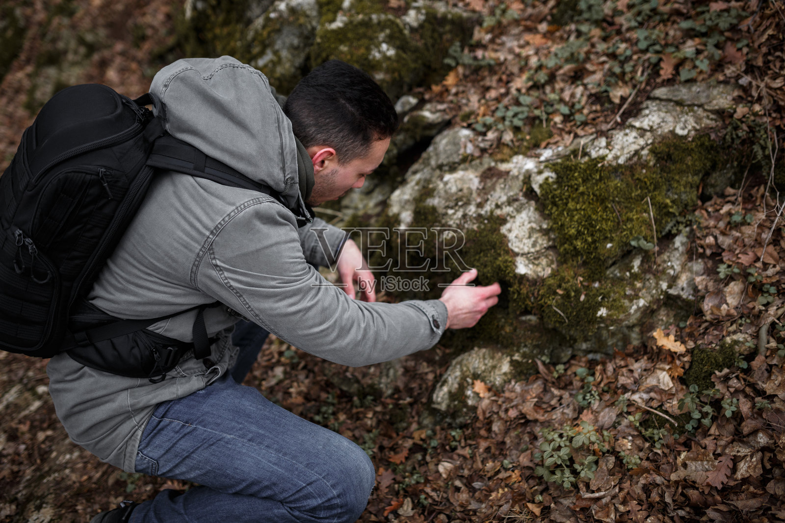 看苔藓照片摄影图片