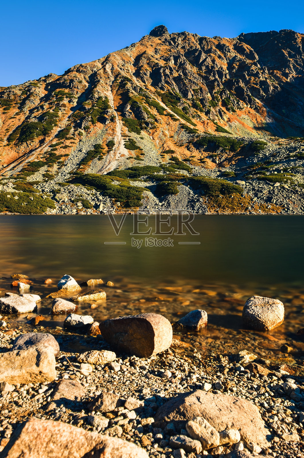 美丽的夏日山景。照片摄影图片