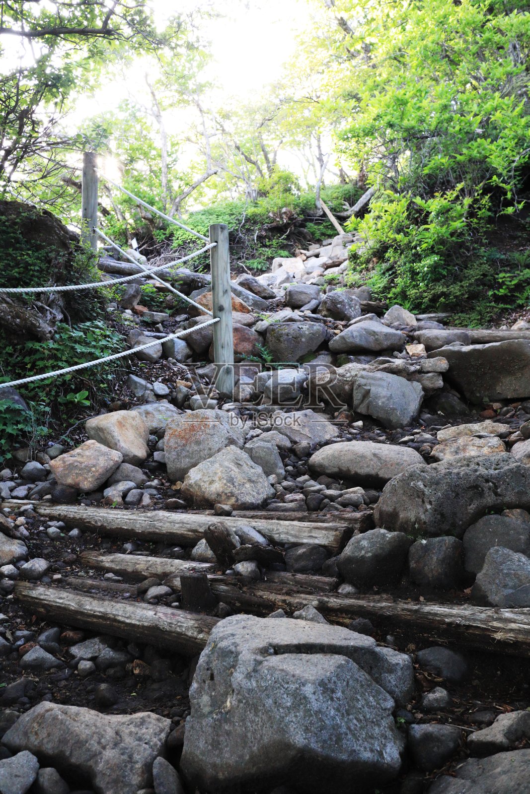 Karakuni-dake山道仰望照片摄影图片