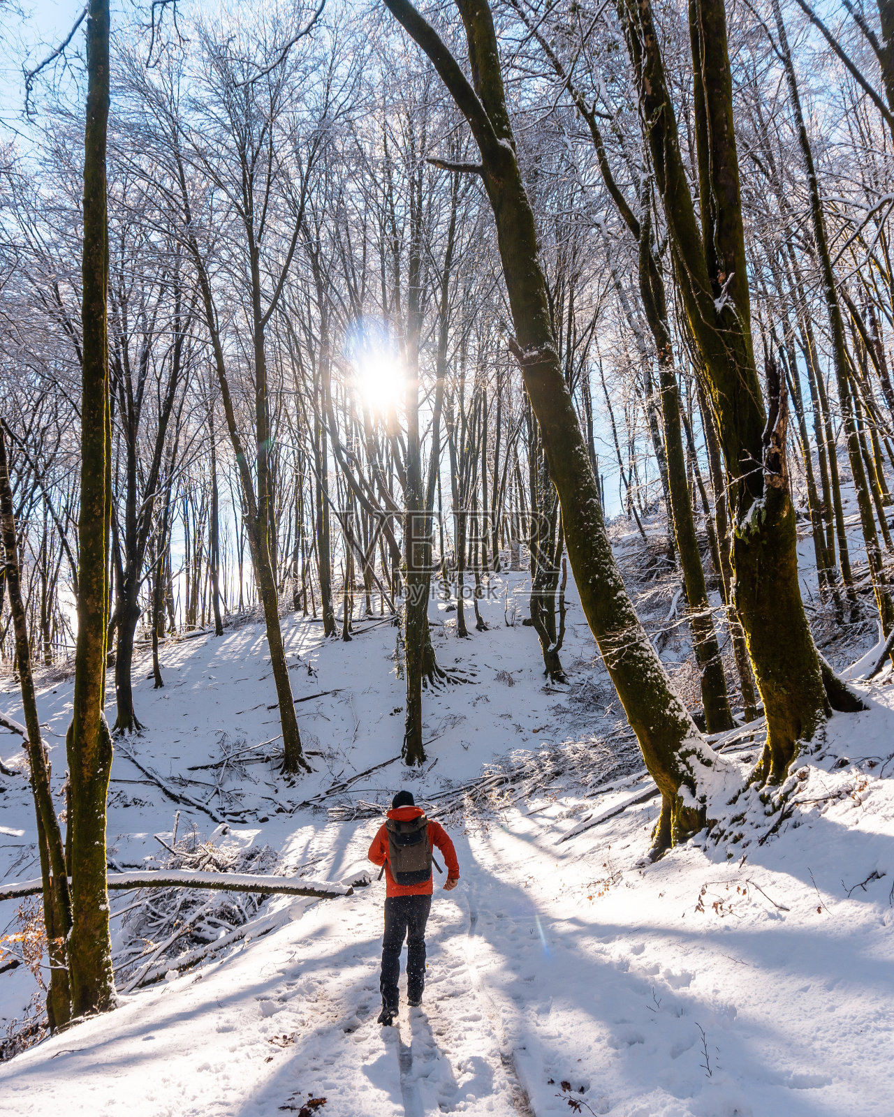 在西班牙圣塞巴斯蒂安的Artikutza自然公园里，一名年轻男子走在雪景中照片摄影图片