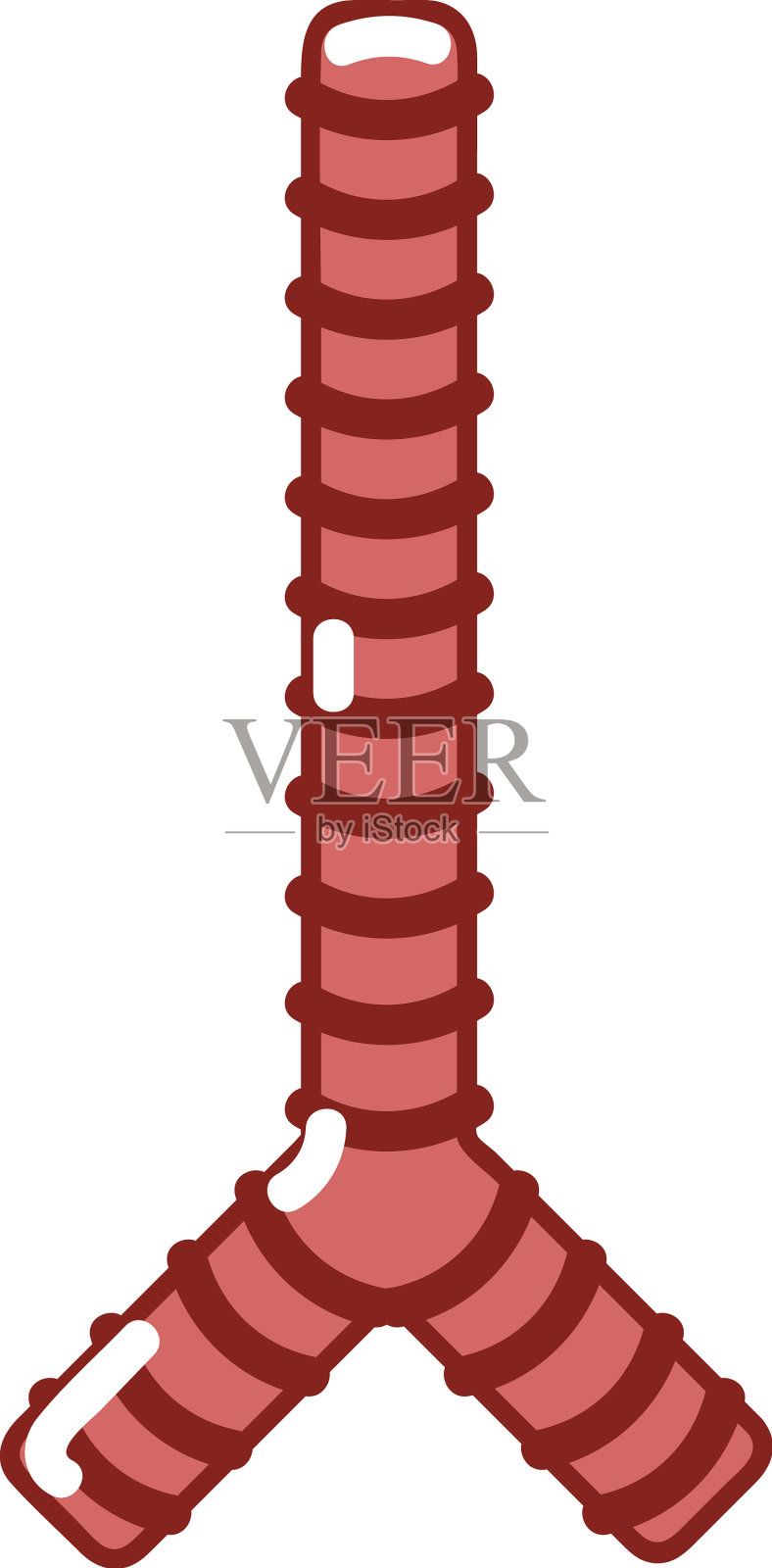 气管人体设计元素图片