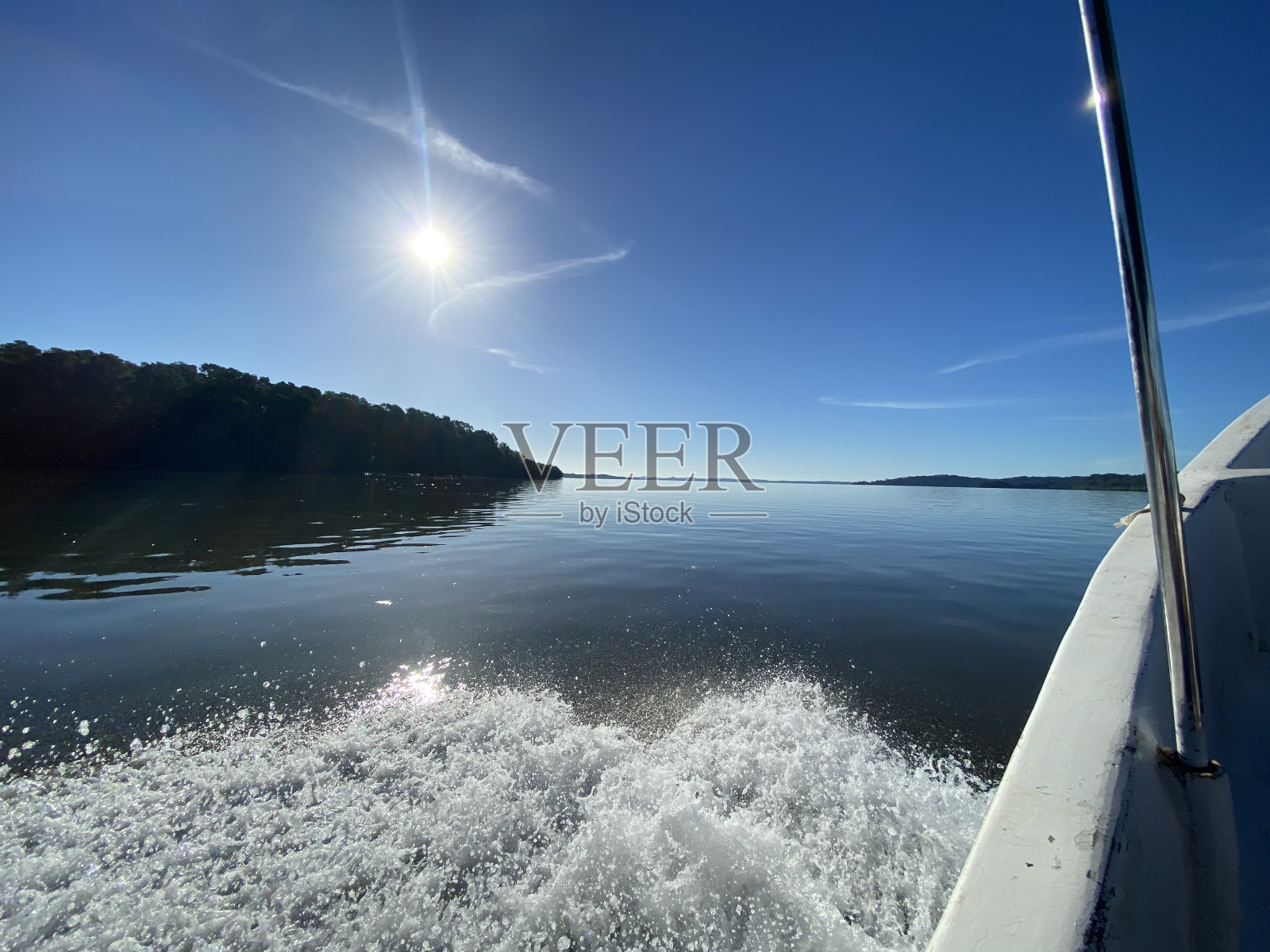 海洋生活照片摄影图片