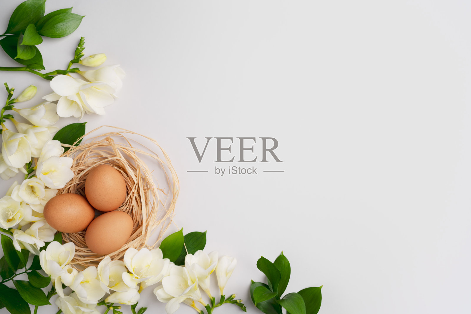 生态复活节平铺。白色花朵，窝中有机天然蛋，浅灰色背景上的绿色叶子。春暖花开假期布局。新鲜的小苍兰和复活节彩蛋。俯视图，复制空间照片摄影图片