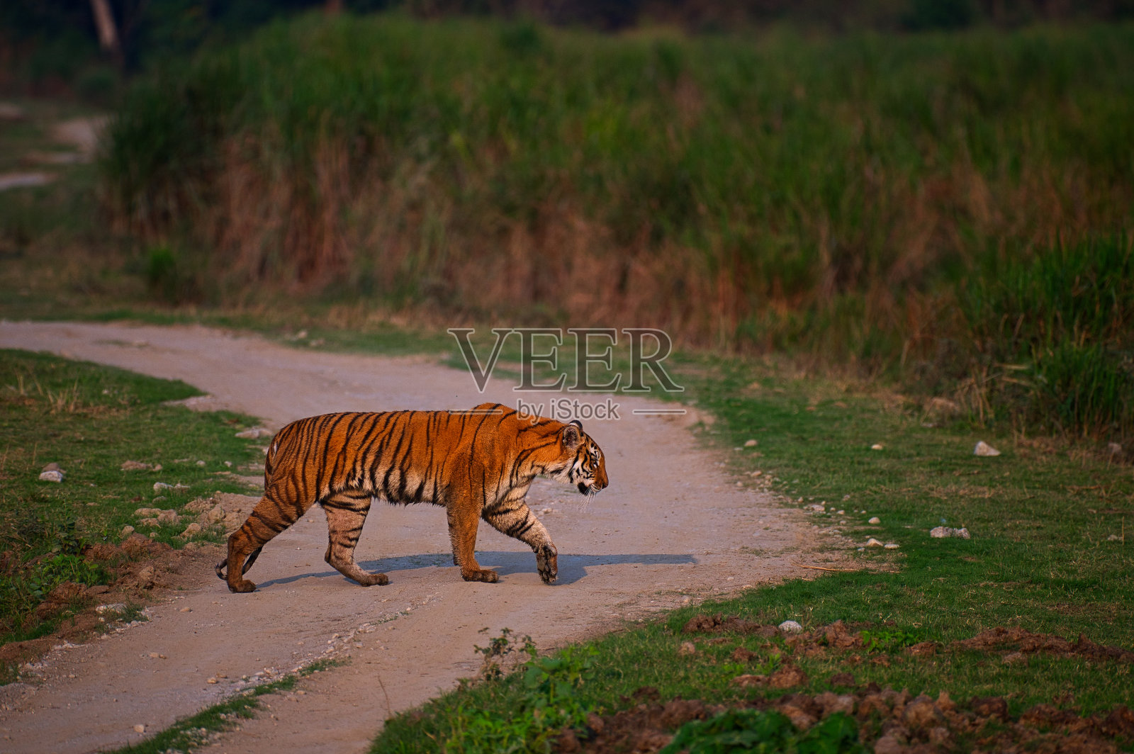 穿越公路照片摄影图片
