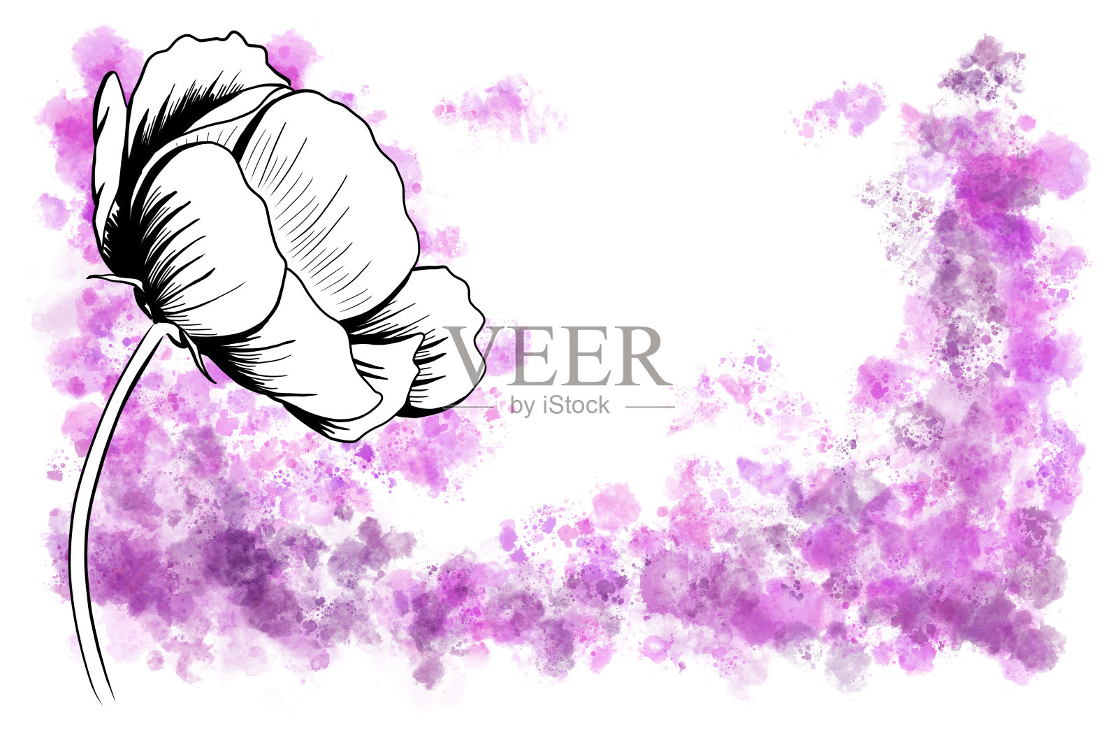 水彩背景的水墨画宇宙花插画图片素材