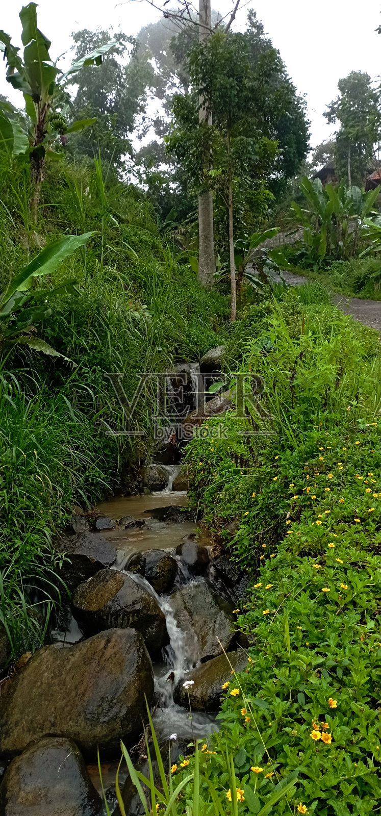 乡村自然002照片摄影图片