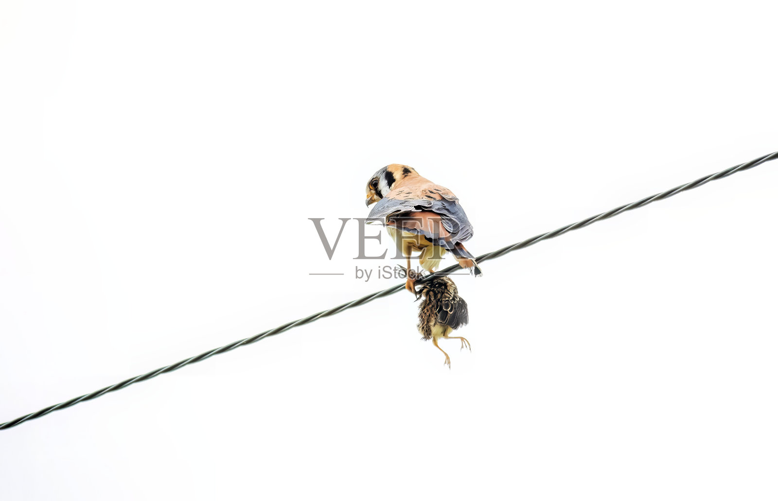 克里特照片摄影图片