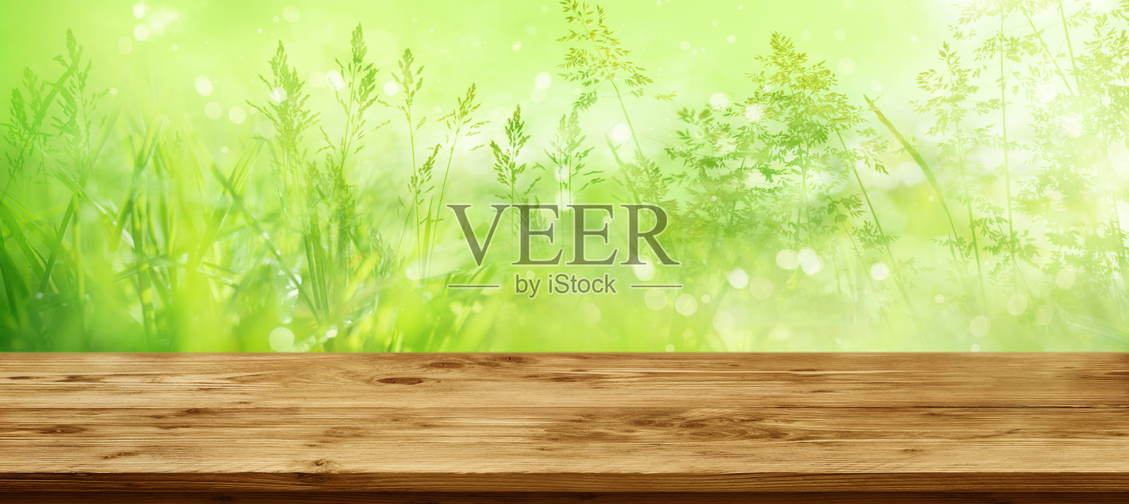 柜台前绿意盎然照片摄影图片