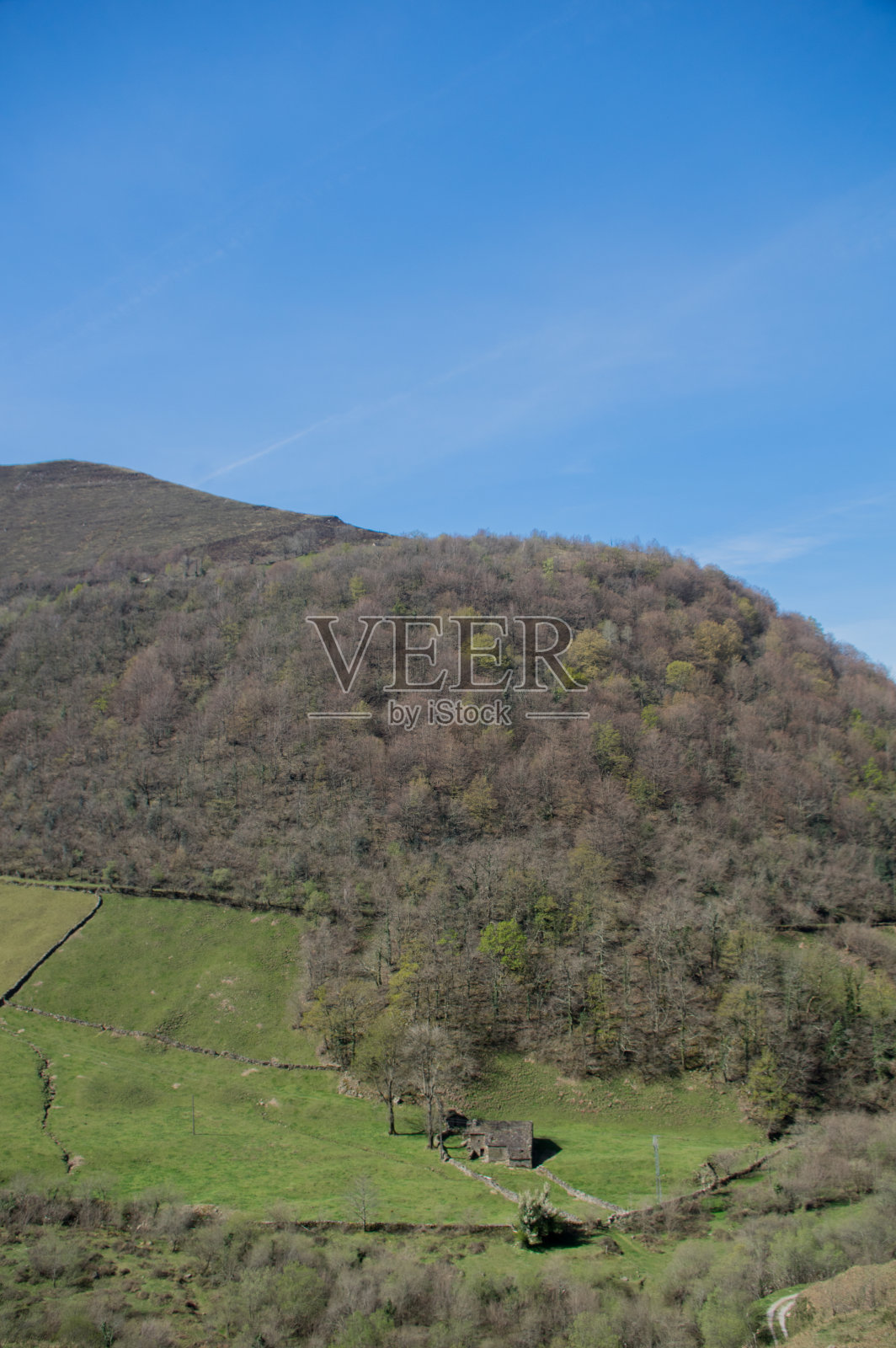 维加德帕斯照片摄影图片