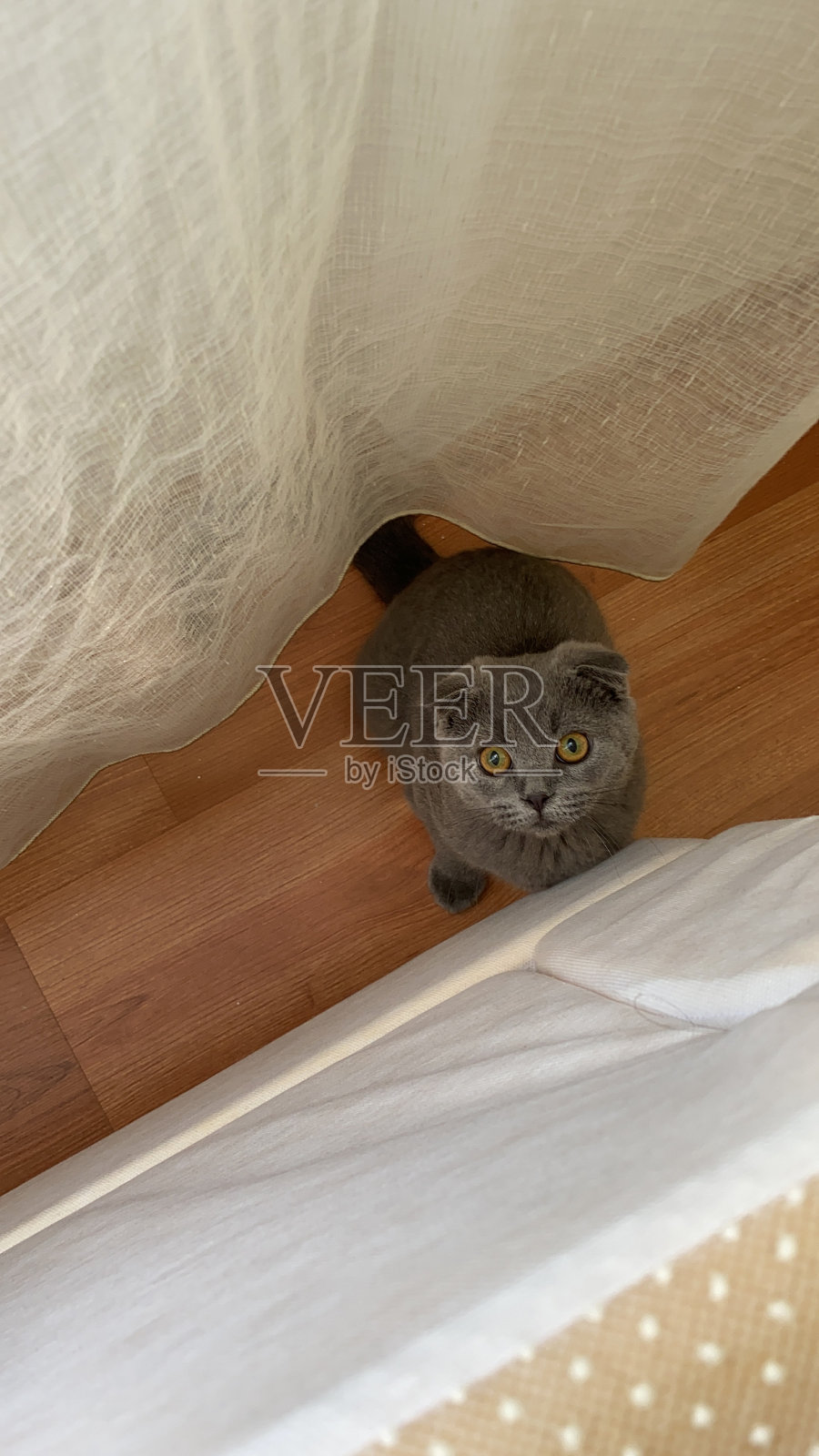 捉迷藏照片摄影图片