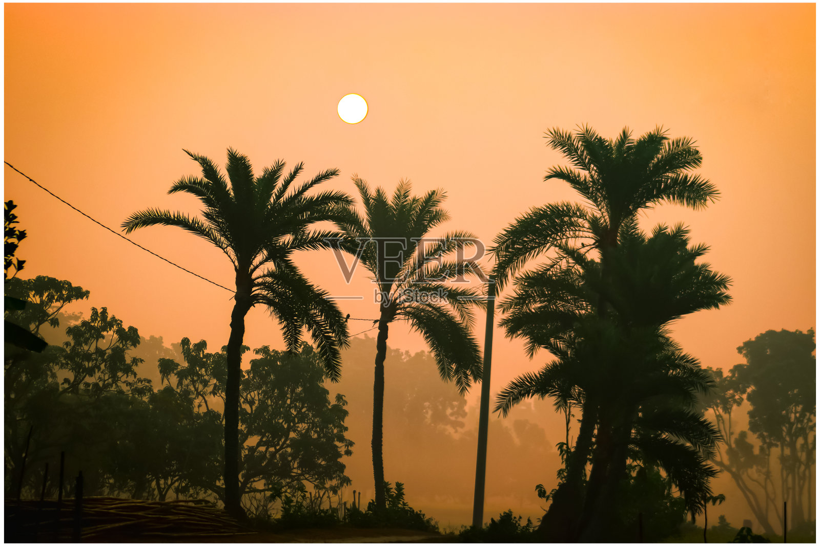 孟加拉国自然景观的日出视图。照片摄影图片