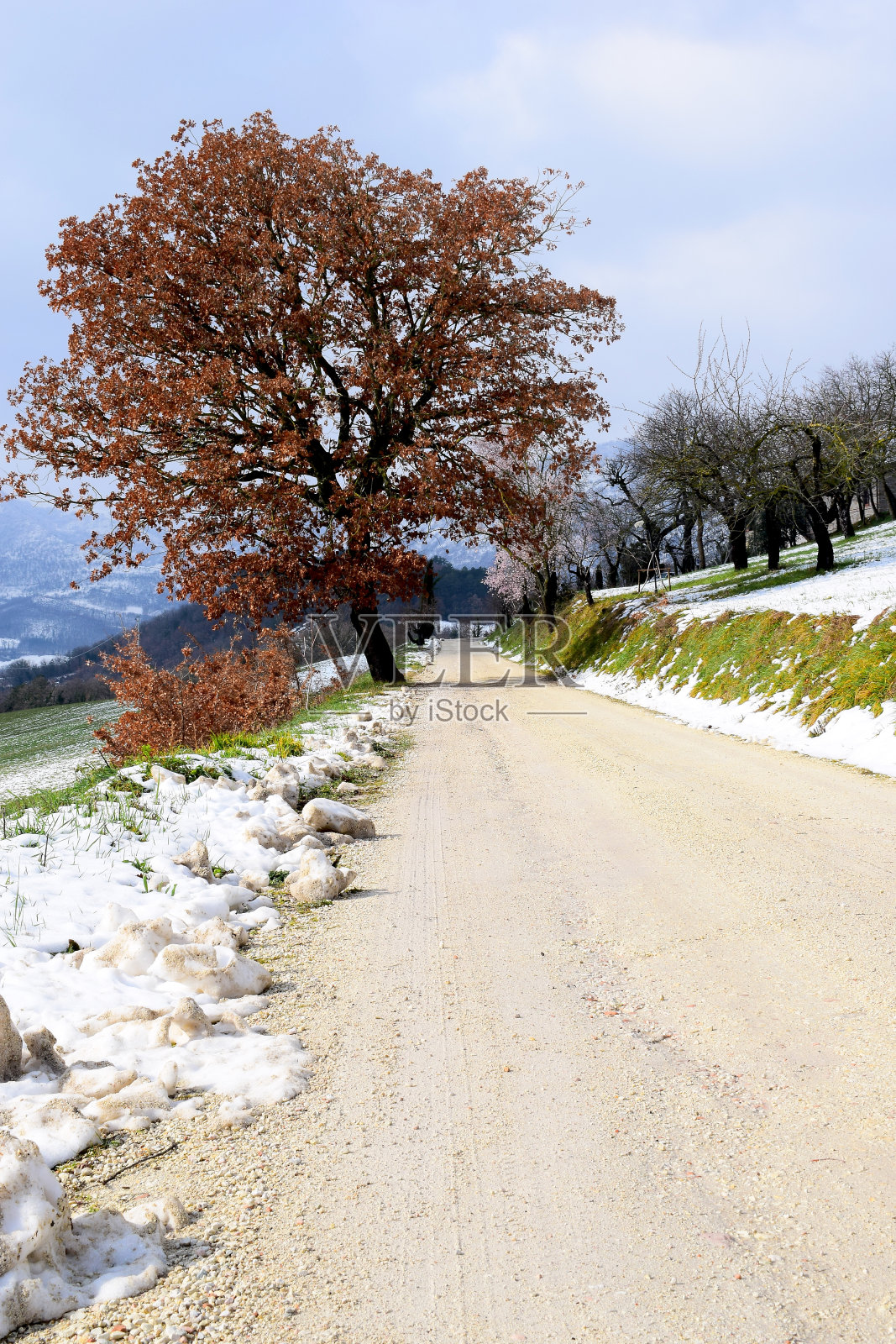 有雪的土路照片摄影图片