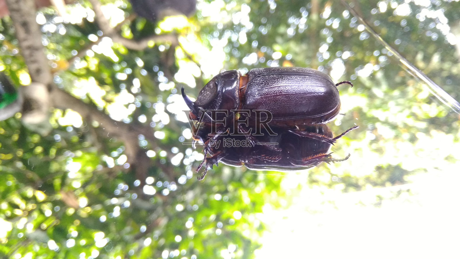 自我反思照片摄影图片