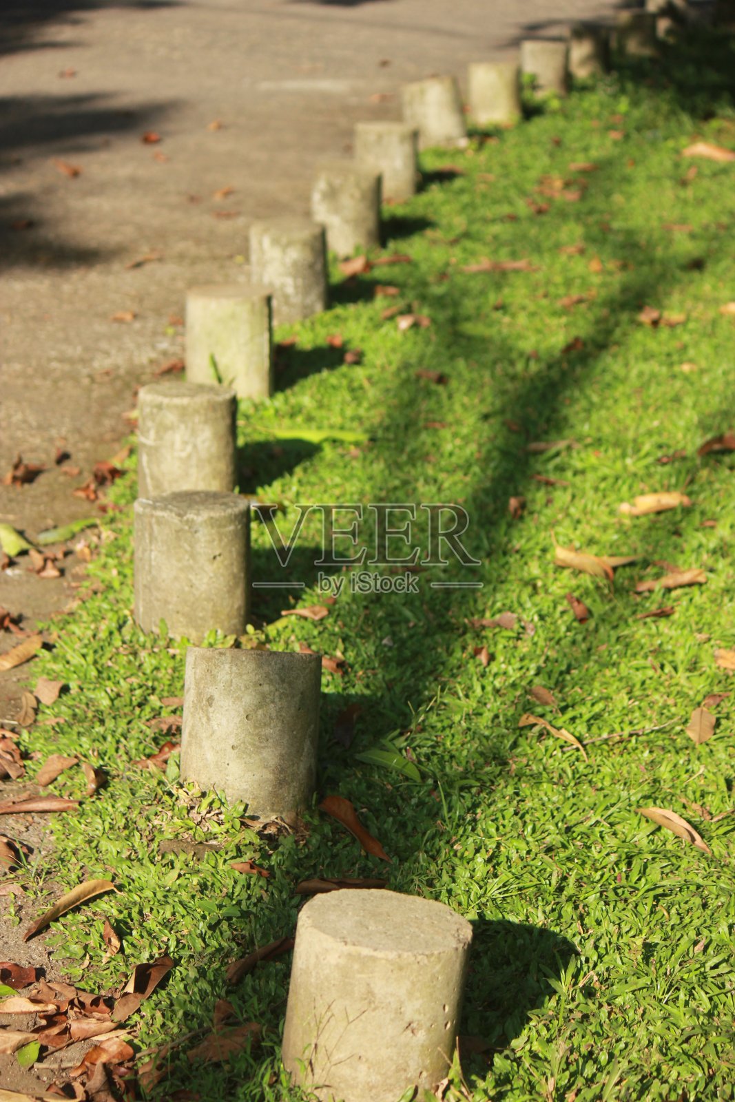 花园分隔器照片摄影图片