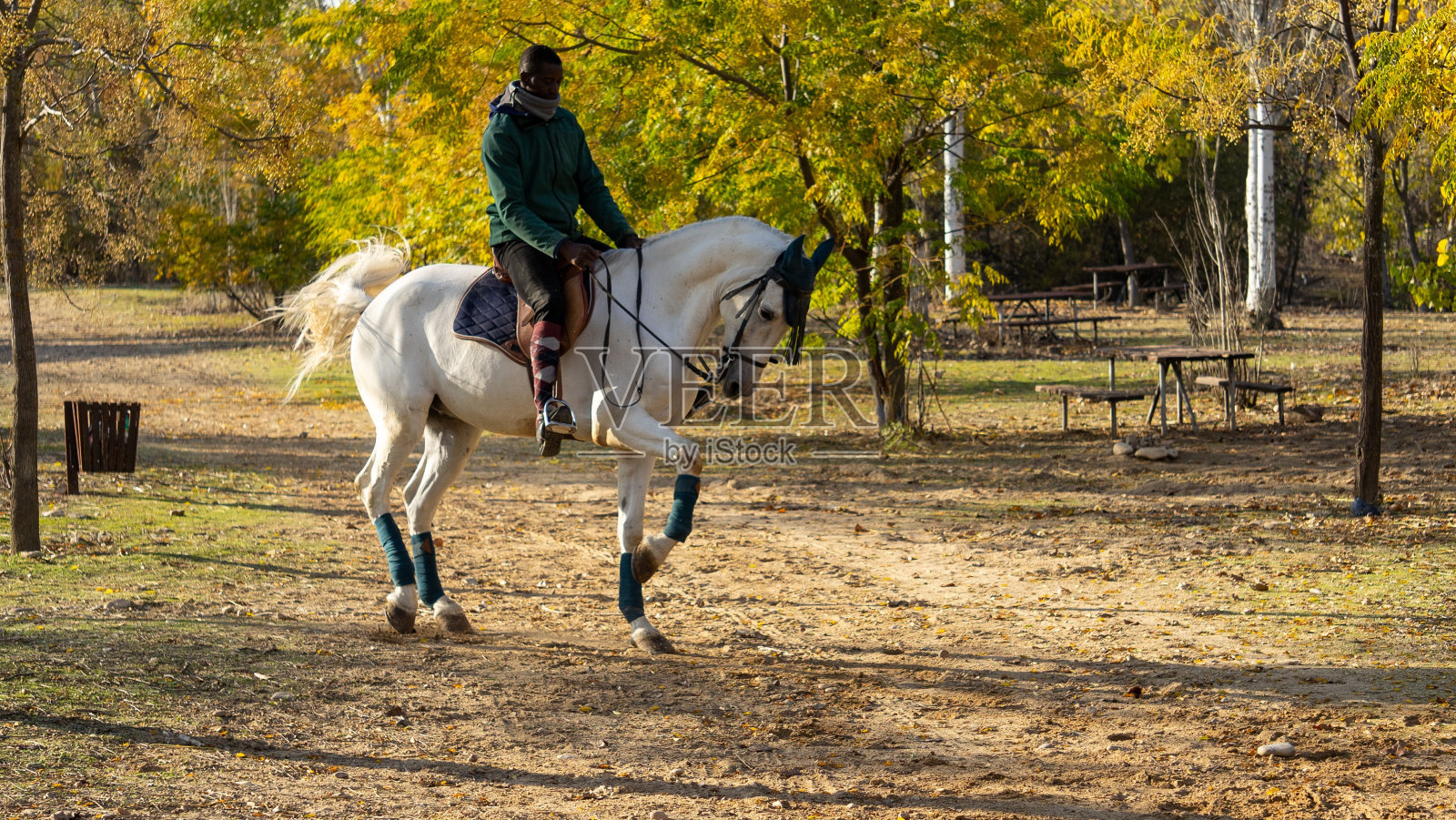 成年黑人男子穿着暖和的衣服在牧场骑着一匹白马照片摄影图片