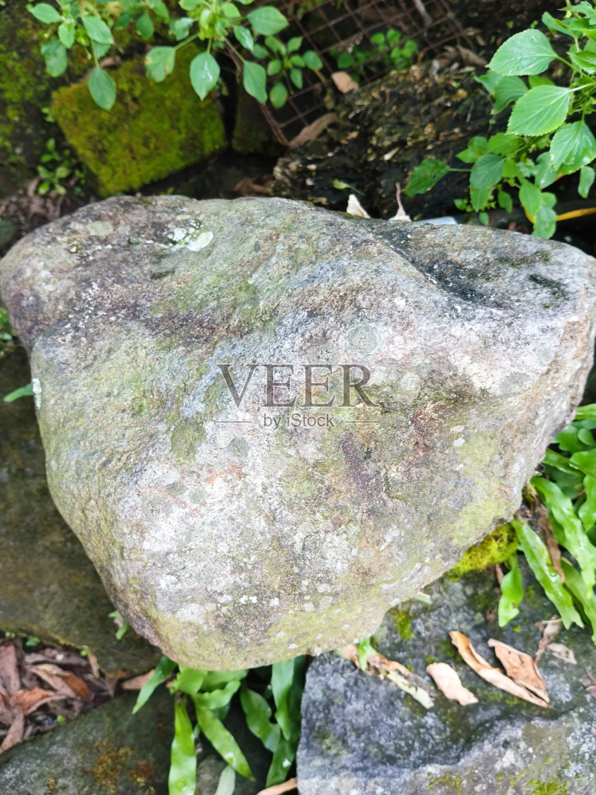 大型天然石材照片照片摄影图片