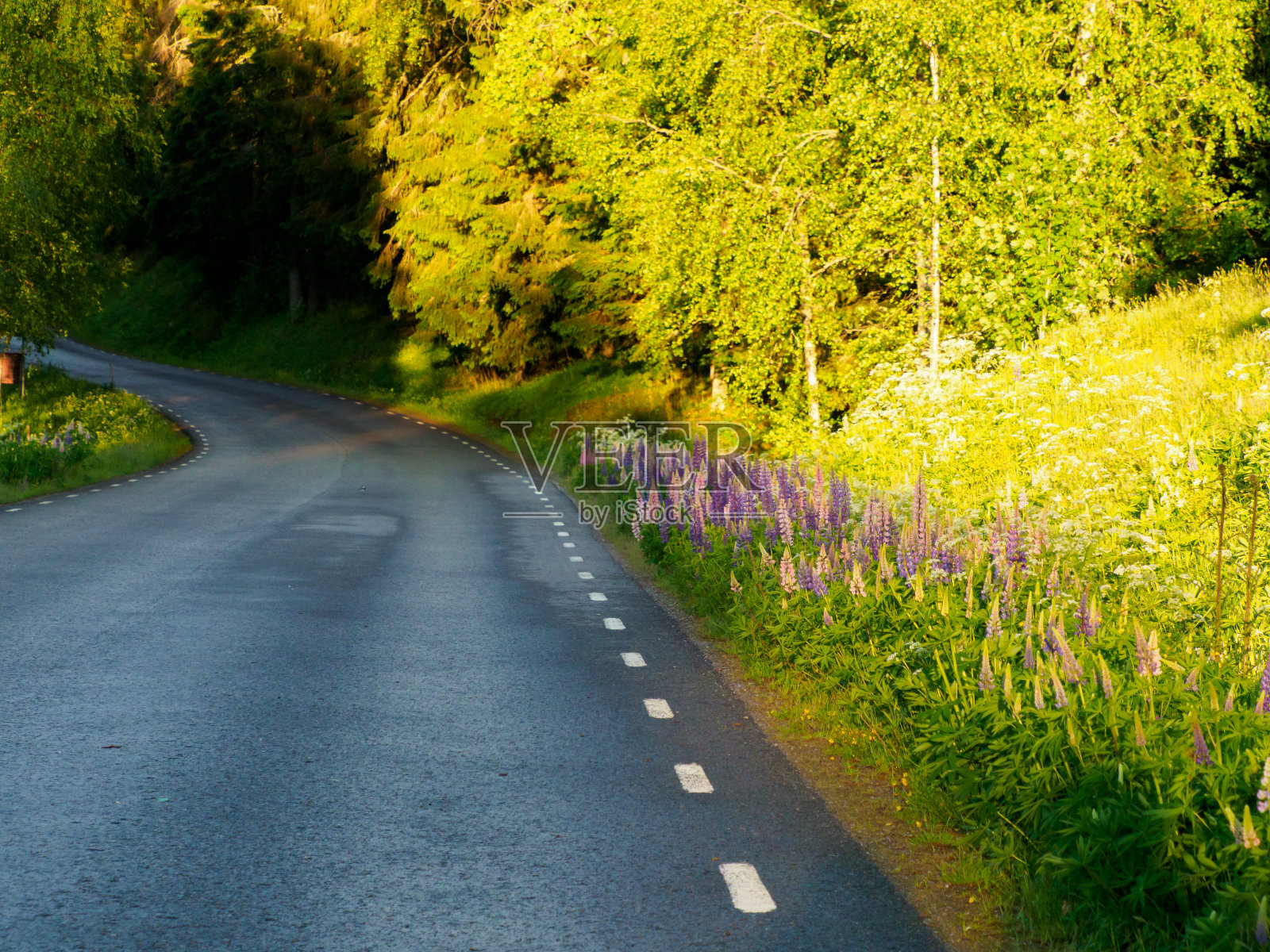 瑞典照片摄影图片