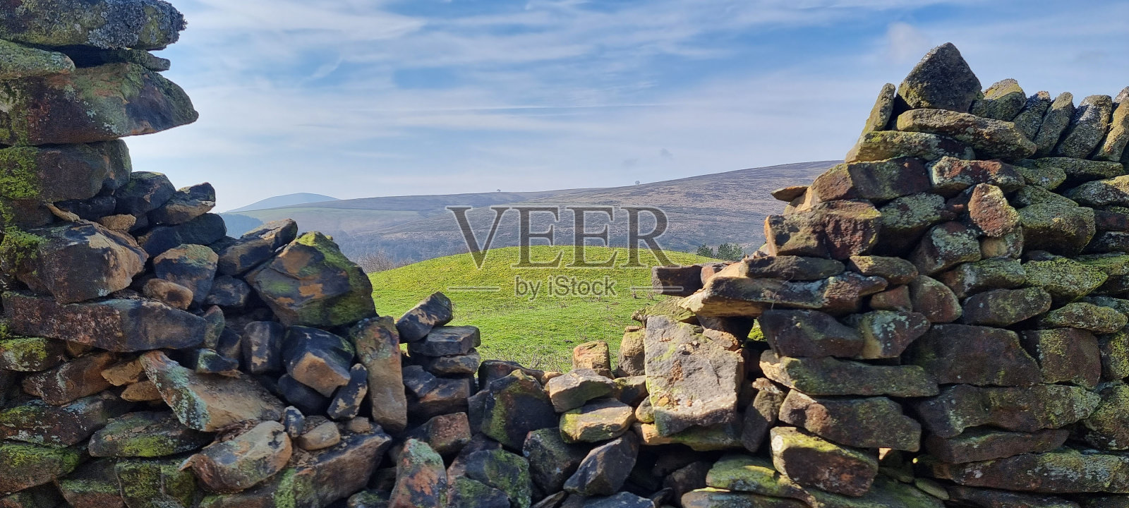 视图中的字段照片摄影图片