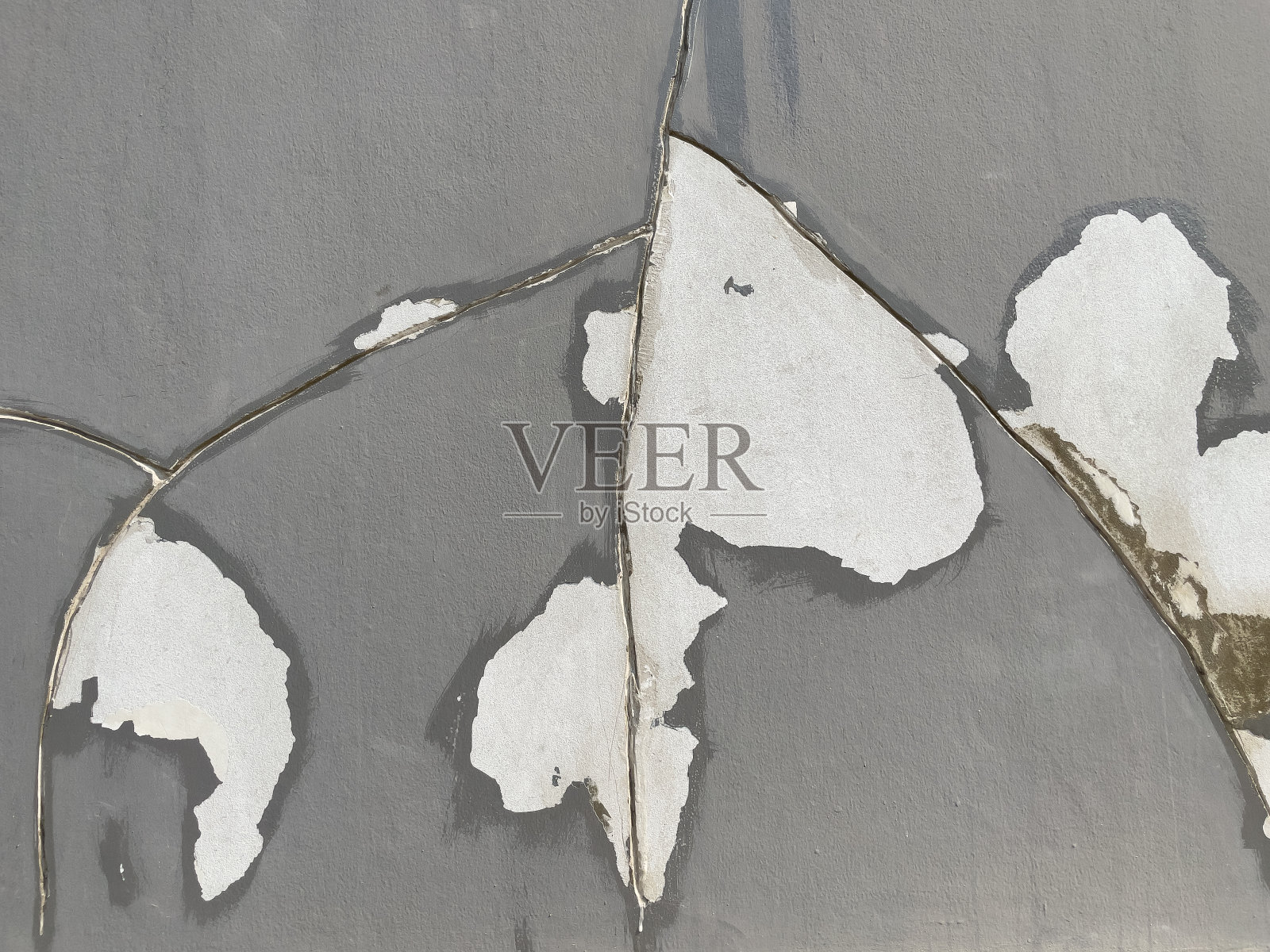 大楼的墙壁严重受损。照片摄影图片