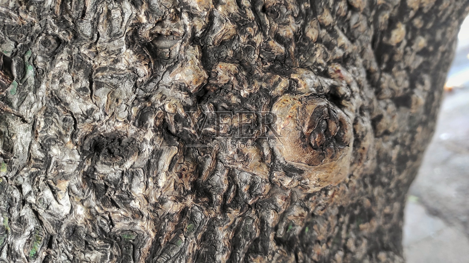 城市公园的原木细节照片摄影图片