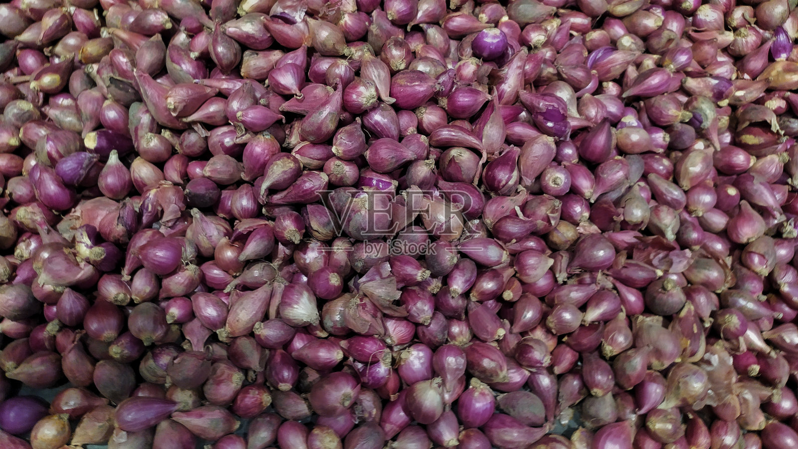 红洋葱背景照片摄影图片