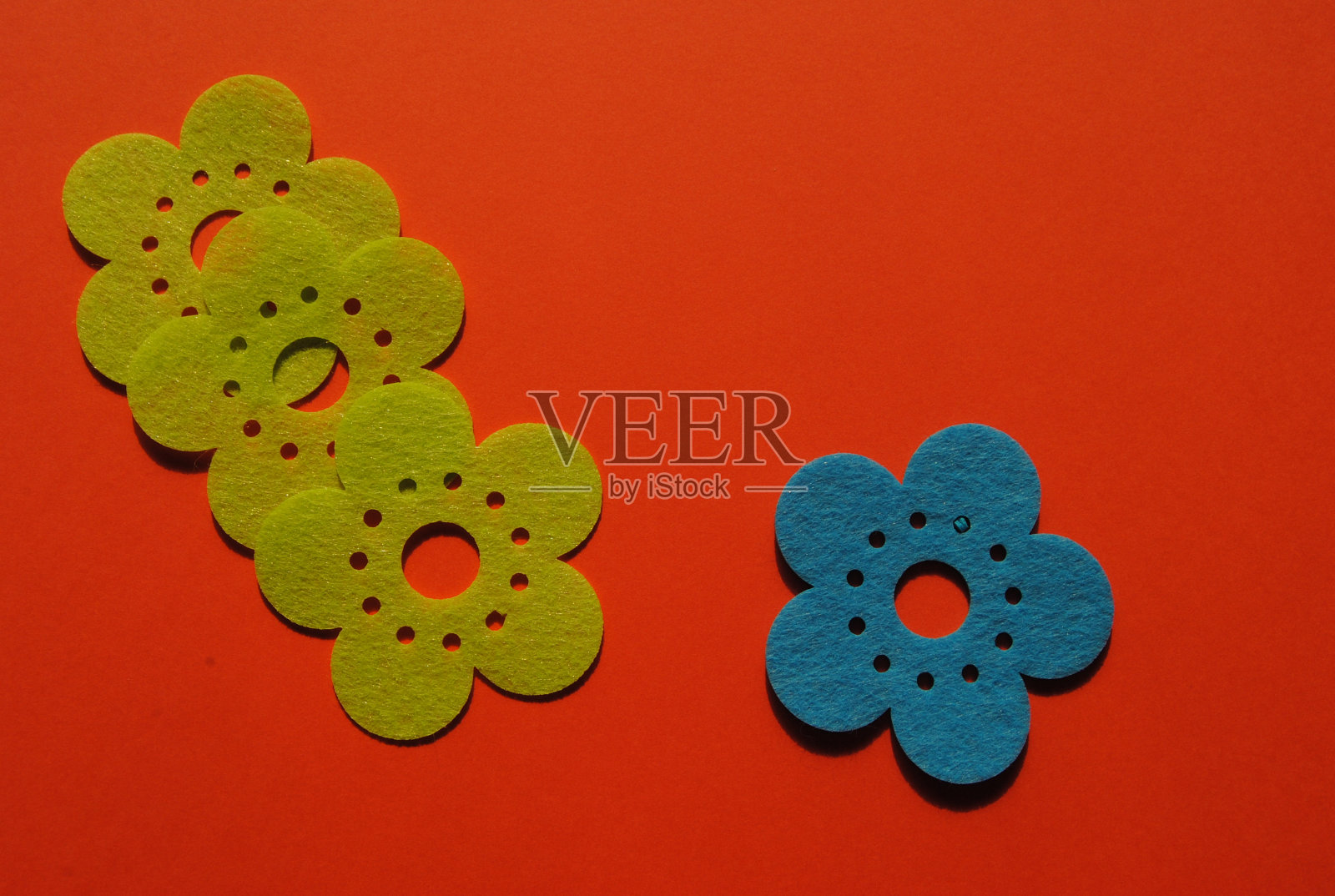 装饰花照片摄影图片