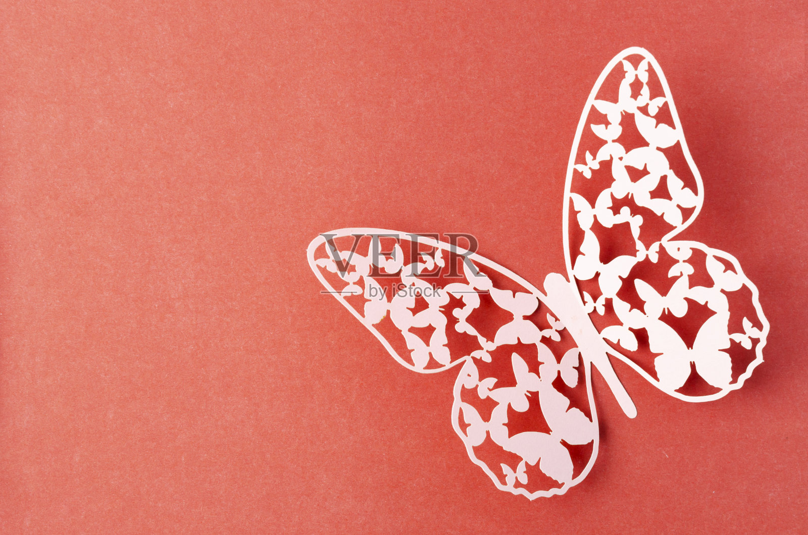 一个纸蝴蝶雕刻在红色的背景与空白。照片摄影图片