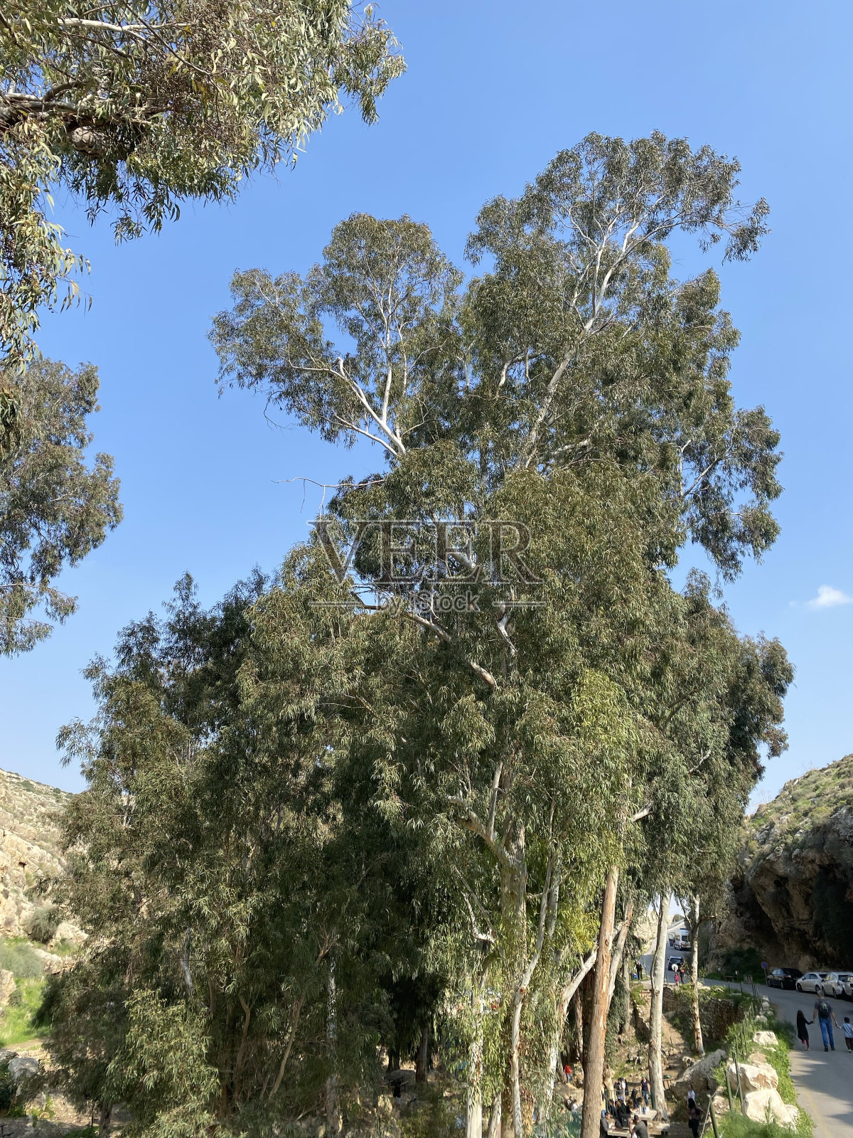 自然照片摄影图片