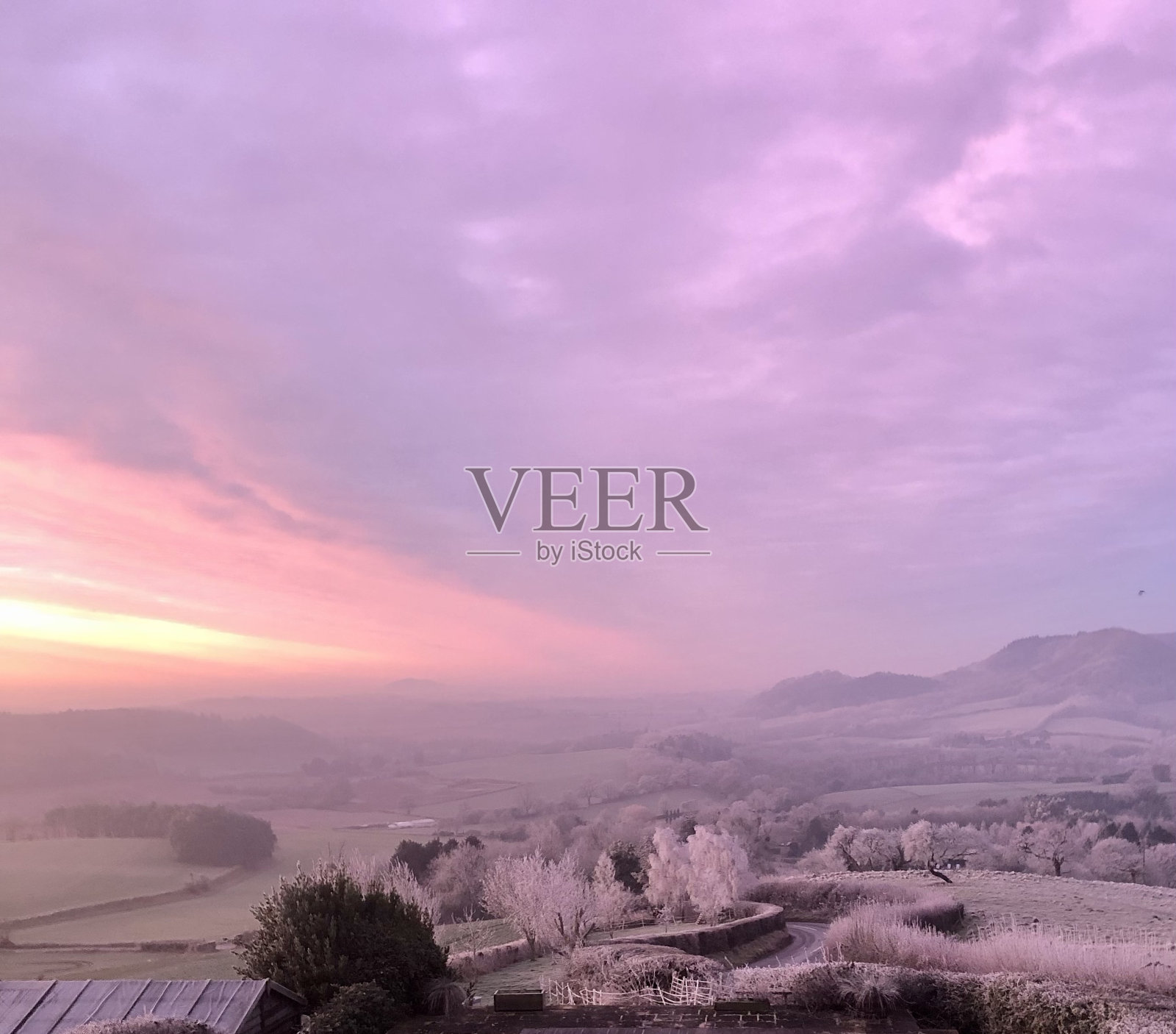 充满活力的冬季仙境照片摄影图片