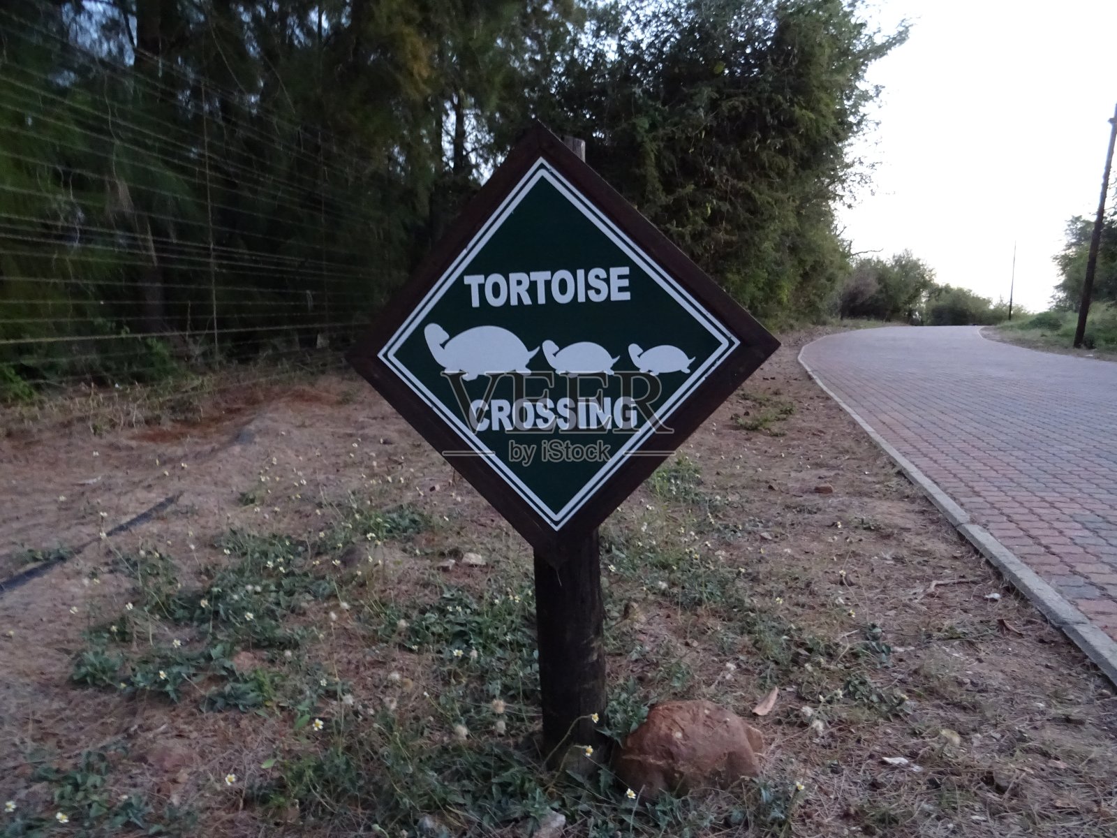 陆龟过路标志照片摄影图片