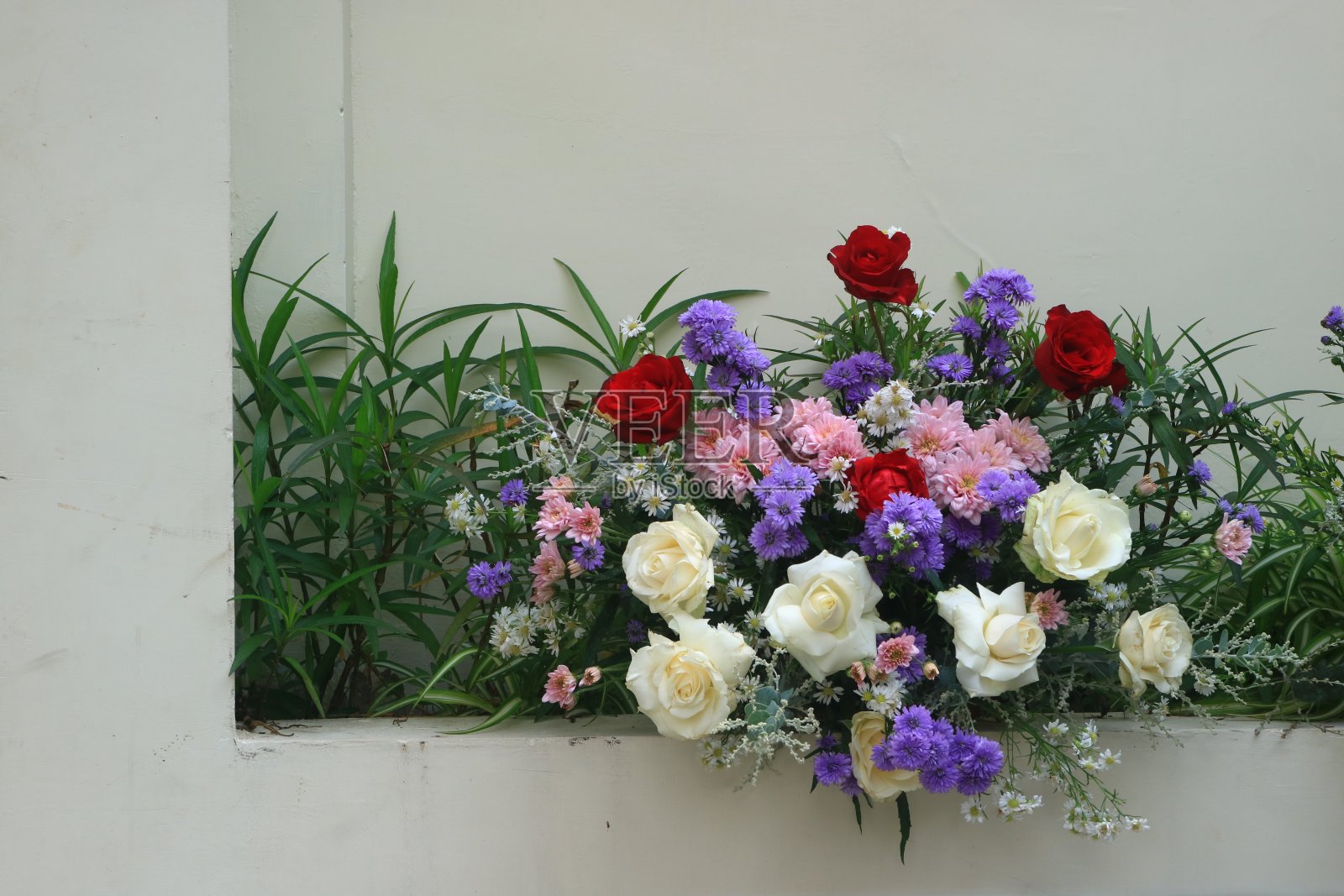 院子里照片摄影图片