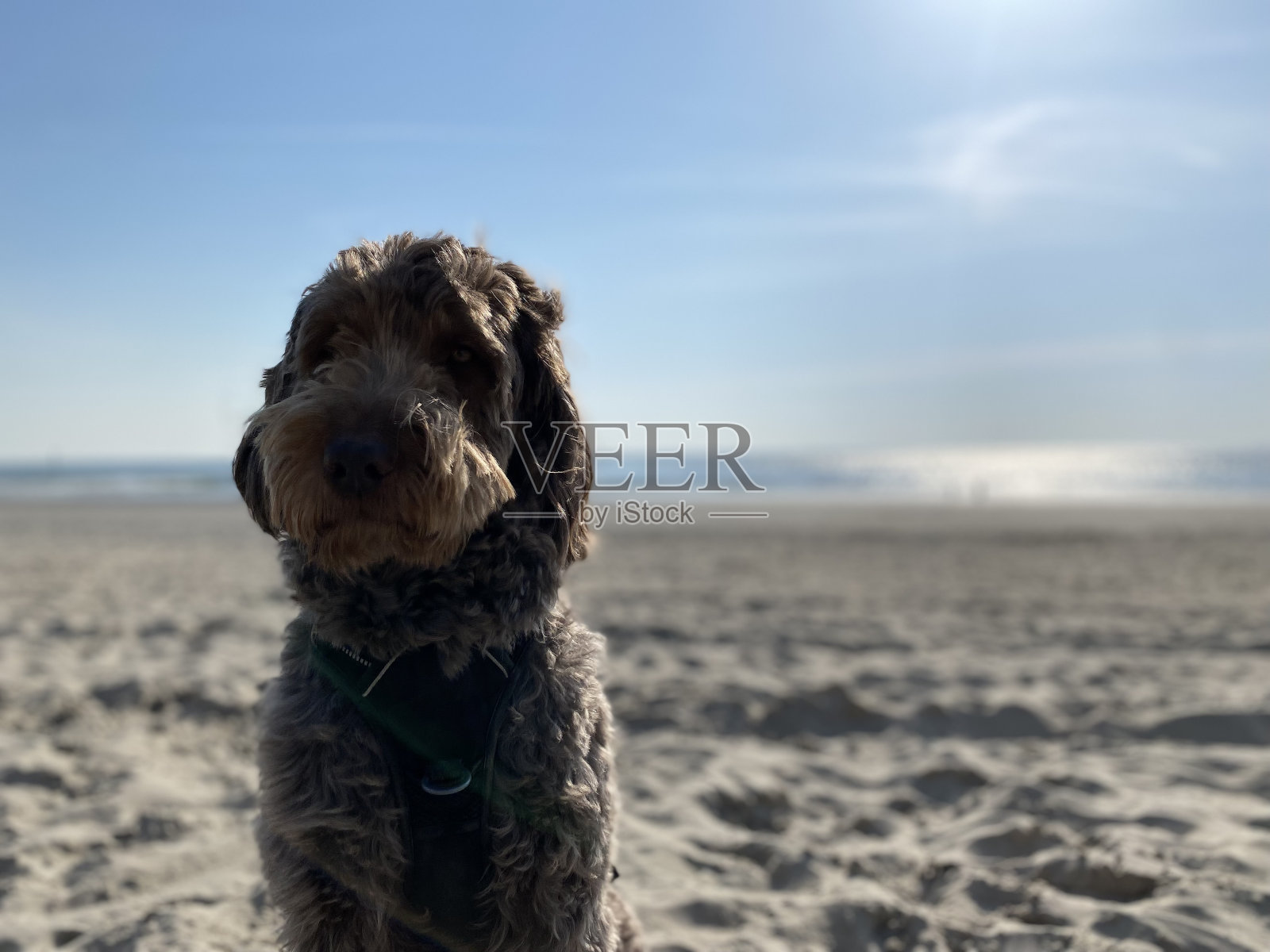 沙滩上的涂鸦画像照片摄影图片