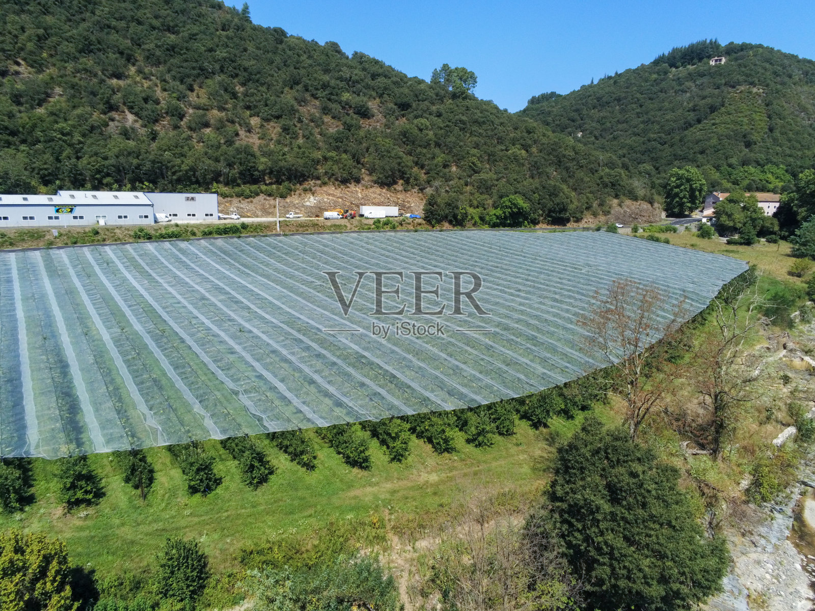 Apple field, aerial view in Les Cévennes照片摄影图片